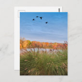 Painted Connecticut Herbst Postkarte (Vorne/Hinten)