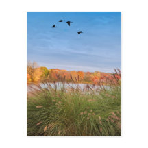 Painted Connecticut Herbst