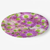 Painted Daisy Pappteller (Schrägansicht)