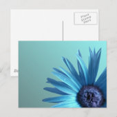 Painted Daisy Postkarte (Vorne/Hinten)