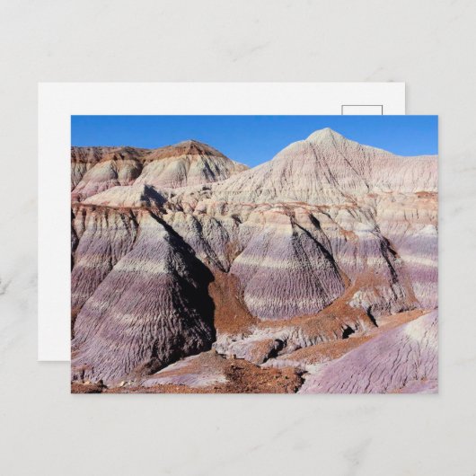 Painted Desert Petrified Forest National Park Postkarte (Vorne/Hinten)