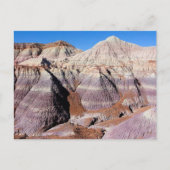 Painted Desert Petrified Forest National Park Postkarte (Vorderseite)