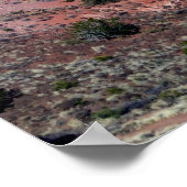 Painted Desert Rim Vista Poster (Ecke)