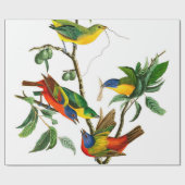 Painted Finch von John James Audubon Geschenkpapier (Flach)