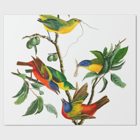 Painted Finch von John James Audubon Geschenkpapier (Flach)