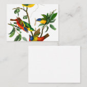 Painted Finch von John James Audubon Mitteilungskarte (Vorne/Hinten)