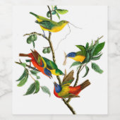 Painted Finch von John James Audubon Weinetikett (Einzelnes Label)