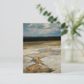 Painted Grounds Postcard Postkarte (Stehend Vorderseite)