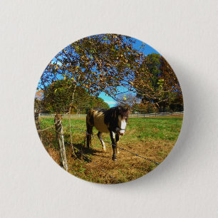 Painted Horse, Button