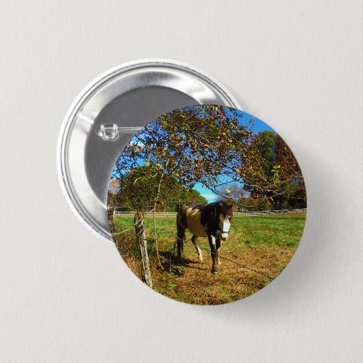 Painted Horse, Button (Vorne & Hinten)