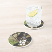 Painted Horse, Eating Queen Ann Lace Blume Getränkeuntersetzer (Seite)