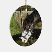 Painted Horse, Eating Queen Ann Lace Blume Keramik Ornament (Rechts)