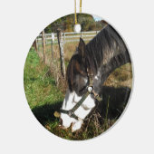 Painted Horse, Eating Queen Ann Lace Blume Keramik Ornament (Links)