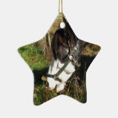 Painted Horse, Eating Queen Ann Lace Blume Keramik Ornament (Rechts)