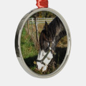 Painted Horse, Eating Queen Ann Lace Blume Ornament Aus Metall (Rechts)