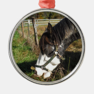 Painted Horse, Eating Queen Ann Lace Blume Ornament Aus Metall