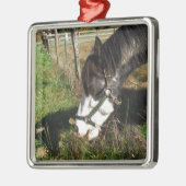 Painted Horse, Eating Queen Ann Lace Blume Ornament Aus Metall (Links)