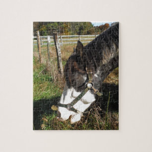 Painted Horse, Eating Queen Ann Lace Blume Puzzle