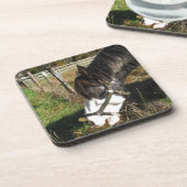 Painted Horse, Eating Queen Ann Lace Blume Untersetzer (Linke Seite)