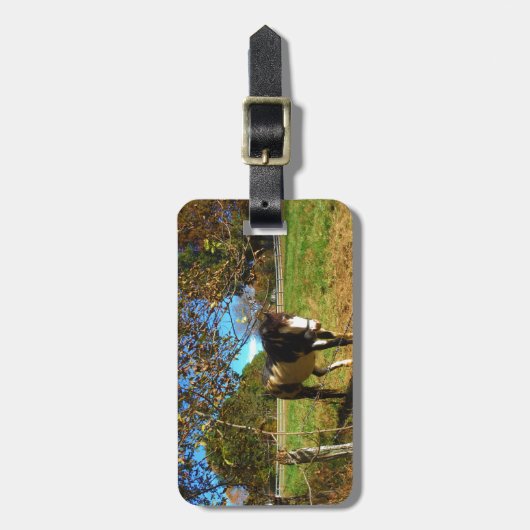 Painted Horse, Gepäckanhänger (Vorderseite vertikal)