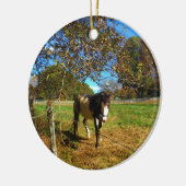 Painted Horse, Keramik Ornament (Links)