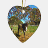 Painted Horse, Keramikornament (Links)