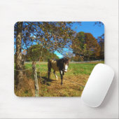 Painted Horse, Mousepad (Mit Mouse)