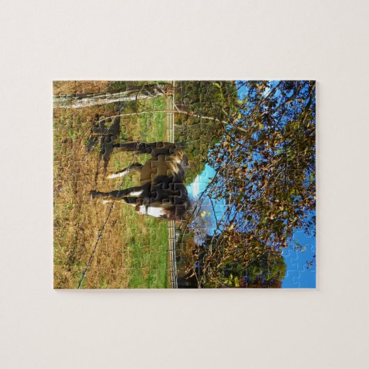 Painted Horse, Puzzle (Horizontal)