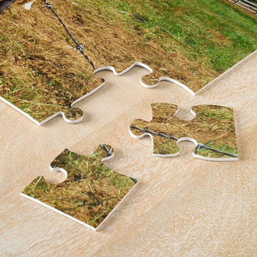 Painted Horse, Puzzle (Seite)