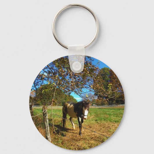 Painted Horse, Schlüsselanhänger (Vorderseite)