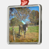 Painted Horse, Silbernes Ornament (Links)