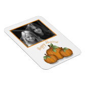 Painted Pumpkins Foto Magnet (Rechte Seite)