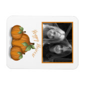 Painted Pumpkins Foto Magnet (Horizontal)