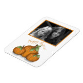 Painted Pumpkins Foto Magnet (Linke Seite)
