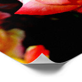 Painted Rose Poster (Ecke)