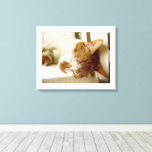 Painted schlafkatzenszene leinwanddruck (Insitu (Holzboden))