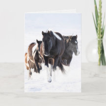 "Painted Snow Day II"- Wild Horse Greeting Card