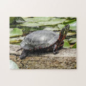 Painted Turtle Jigsaw Puzzle (Horizontal)