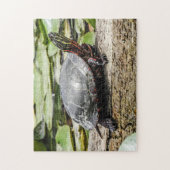 Painted Turtle Jigsaw Puzzle (Vertikal)