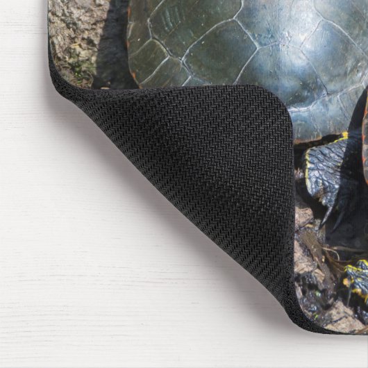 Painted Turtle Pair Mousepad (Ecke)