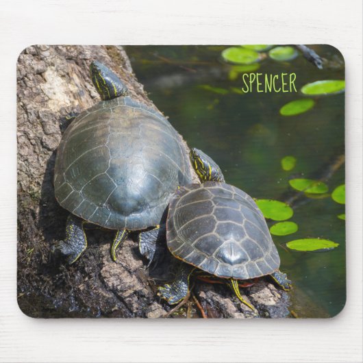 Painted Turtle Pair Mousepad (Vorne)