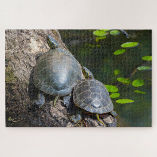 Painted Turtle Pair Puzzle