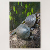 Painted Turtle Pair Puzzle (Vertikal)