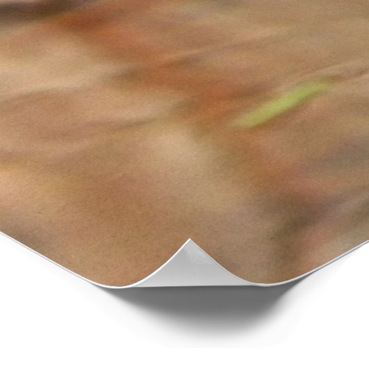 Painted Turtle Poster (Ecke)