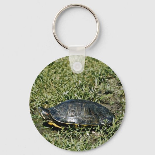 Painted Turtle Schlüsselanhänger (Vorderseite)