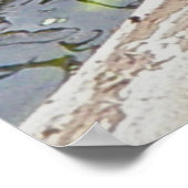 Painted Turtle Sunning Poster (Ecke)