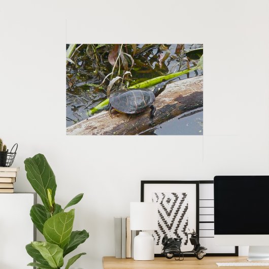 Painted Turtle Sunning Poster (Heimbüro)