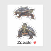 Painted Turtle Vinyl Sticker (Blatt)