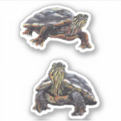 Painted Turtle Vinyl Sticker (Vorderseite)