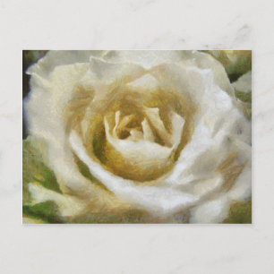 Painted White Rose Postcard Postkarte